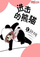 Attack on Panda